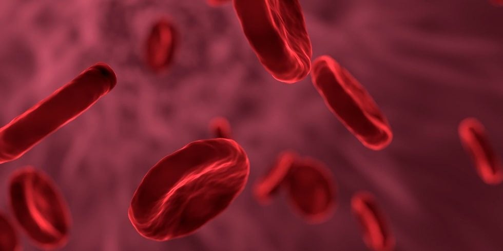 Problemas-de anemia-Saiba-como-a-doença-pode afetar-a-sua-rotina